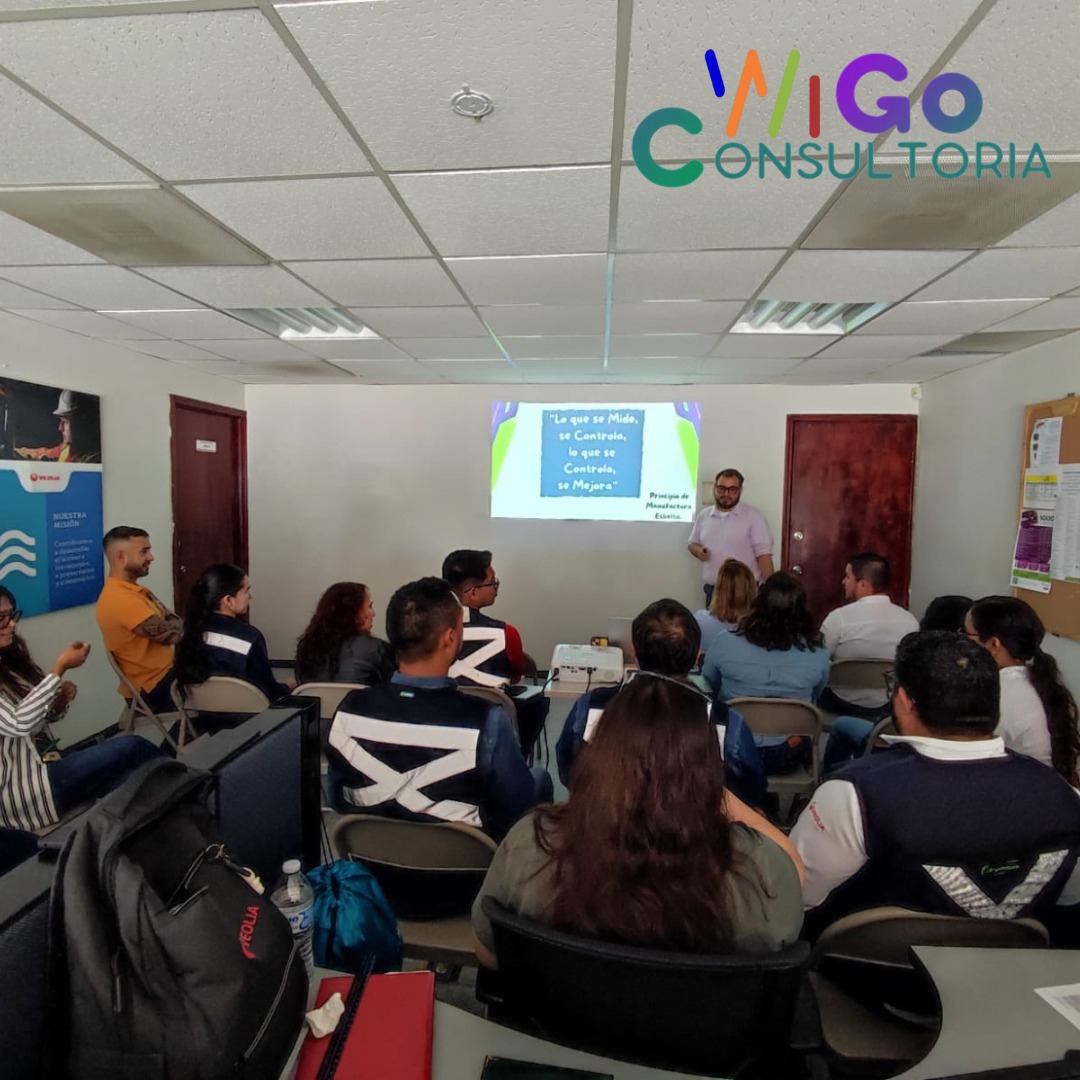 Desarrollo organizacional